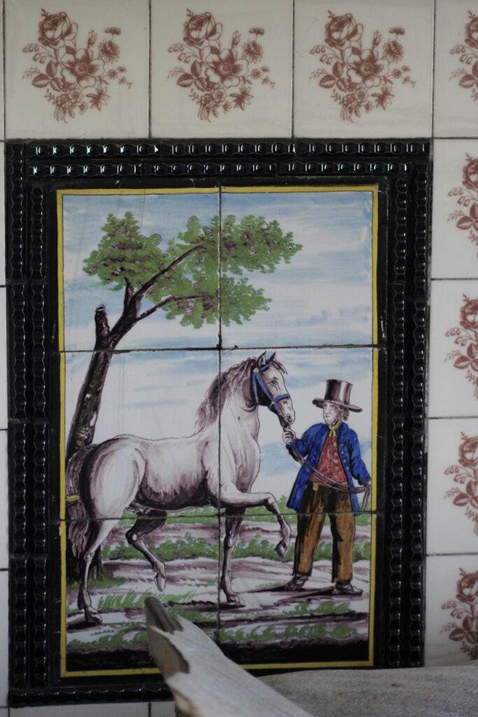 tegel paard